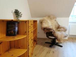 卡珀尔恩Ostseeblick im Andersenhof的一间房间,椅子上放着一只毛毛皮动物