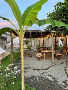 锡瓦塔塔内霍Hostel Flakos的野餐区,带桌子和香蕉树