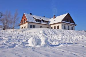 SvratkaPenzion Pod Dratnikem的坐在房子前雪中的一个雪人