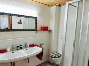 罗伊特全景小屋公寓的一间带水槽、卫生间和镜子的浴室