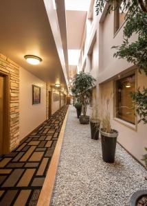 麦克默里堡Prime Hotel的楼内带有盆栽的走廊