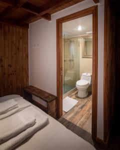 库拉考廷HOTEL VOLKANICO的一间带一张床、淋浴和卫生间的浴室