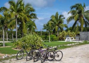 James CisternButtonwood Reserve by Eleuthera Vacation Rentals的一群自行车停在棕榈树海滩上