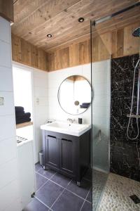 德哈恩Ruim, lichtrijk appartement met terras in centrum的一间带水槽和镜子的浴室