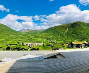 赫尔甘屯Large and luxurious family cabin in Myrkdalen的享有以山脉为背景的小镇美景。