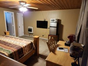 Eagle NestEagle Nest Fly Shack & Lodge的一间卧室配有一张床、一张书桌和一台电视。