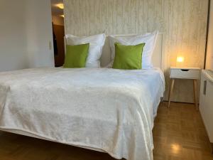 路德维希堡Ferienwohnung-Ludwigsburg-City的一间卧室配有一张带绿色枕头的大床