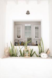 哈勃岛Conch Shell Harbour Island home的厨房配有白色橱柜和台面上的植物