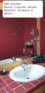 贝济耶Studio independant Non Fumeur 38m2 calme, confort的一间带水槽和红色墙壁的浴室