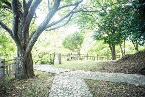 丰冈市Book & Guesthouse Hitotomaru的公园里的一棵树和一条石头小径