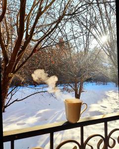 阿拉木图Sweet Vibe Home的雪上阳台的咖啡杯