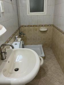 迪拜Welcom Tourist Hostel的一间带水槽和卫生间的浴室