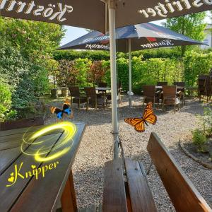 LastrupHotel Knipper的一张带雨伞和蝴蝶的长凳