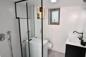 海法Deluxe Basement Apartment Bahai's Garden的白色的浴室设有卫生间和水槽。
