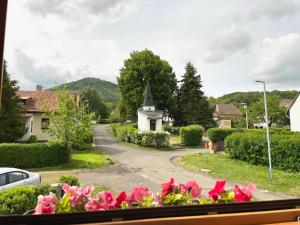 BořislavBílka 33 - Village home in the Czech Central Highlands的从小村庄的窗户欣赏粉红色的花朵