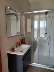 马尔萨什洛克Luxurious 2 bedroom apartment with country view的一间带水槽和淋浴的浴室