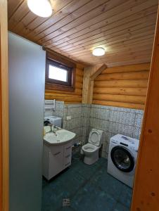 巴库里阿尼LOG HOUSE的浴室配有卫生间水槽和洗衣机。