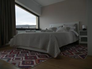NiculiţelPensiunea Valentina的一间卧室配有一张带窗户和地毯的床