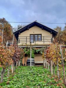 Uršna SelaVineyard cottage Kulovec的前面有一棵树的房子