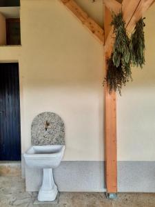Uršna SelaVineyard cottage Kulovec的坐于大楼角落的厕所