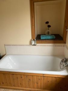 赫里福德The crown inn Longtown的植物浴室内的白色浴缸