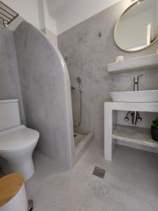 AloproniaVrahos Rooms - Studios的一间带水槽、卫生间和镜子的浴室