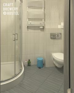 耶德利纳-兹德鲁伊Hostel Browar Jedlinka的带淋浴和卫生间的浴室