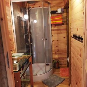 FumayCHALET Chataigne ETAPEBOISEE的小木屋内带淋浴的浴室