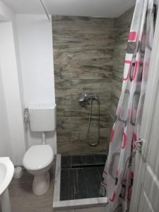 欧巴西亚洛德洛伊Enduro Transalpina的一间带卫生间和淋浴帘的浴室
