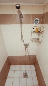布布拉瓦Chata Koza的浴室里设有排水淋浴
