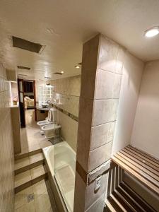 圣萨尔瓦多德朱Hotel ICONICO JUJUY Centro的客房内设有带水槽和卫生间的浴室