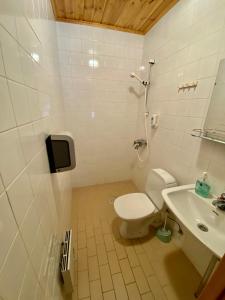 黑诺拉Villa Rapakivi的一间带卫生间和水槽的浴室