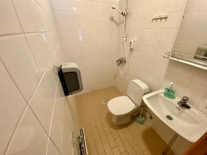 黑诺拉Villa Rapakivi的一间带卫生间和水槽的小浴室