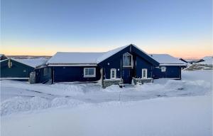 奥耶Nice Home In yer With Kitchen的蓝色的房子被雪覆盖
