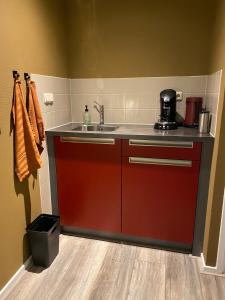 CornjumBed and Breakfast Stinzenflora的一个带红色橱柜和水槽的厨房