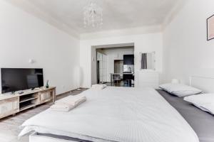 布拉格Lovely Apartments Heart of Prague的一间白色的大卧室,配有一张大床和一台电视