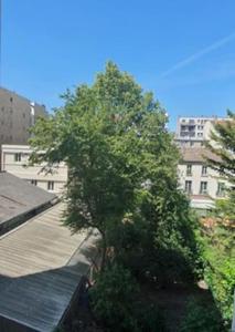 万塞讷Joli appartement bois de Vincennes, metro 1, rer A的树在建筑物的一侧生长