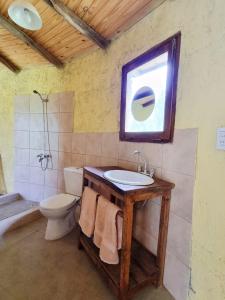 图努扬Buda de Uco Lodge的一间带水槽和卫生间的浴室以及窗户。