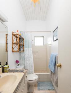 圣詹姆斯Villa 46的一间带水槽、卫生间和淋浴的浴室