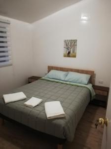 蒙特港Cabaña entre árboles Carretera Austral的一间卧室配有一张床,上面有两条毛巾