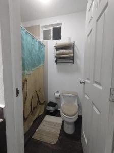 坎昆Estudio a 15 min caminando de la terminal de autobuses ADO的一间带卫生间和淋浴帘的浴室