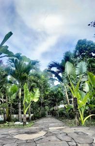 布纳肯3WILL Bunaken Dive Resort的一条棕榈树环绕的道路