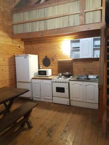 蒂格雷Albaricoque的一间厨房,配有白色家电和木墙