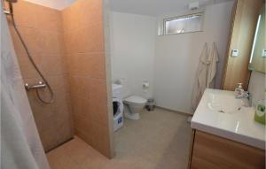 福堡Cozy Apartment In Faaborg With Wifi的带淋浴、卫生间和盥洗盆的浴室