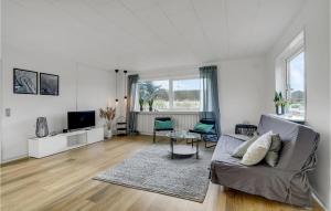 维泽桑讷Stunning Home In Hvide Sande With Kitchen的带沙发和电视的客厅