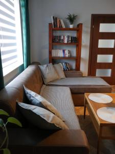 文盖尔斯卡－古尔卡Apartamenty Pod Hutą的带沙发和书架的客厅