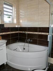 文盖尔斯卡－古尔卡Apartamenty Pod Hutą的带浴缸的浴室和卫生间