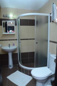 比托拉Villa Konzuli的带淋浴、卫生间和盥洗盆的浴室
