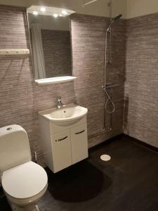 希塞里贝克Branäs Holiday Home的浴室配有卫生间、盥洗盆和淋浴。