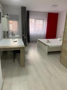 拉姆尼库沃尔恰Cazare bloc nou ultracentral的一间卧室配有一张床、一张桌子和一个水槽